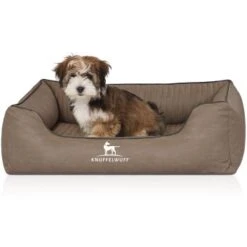 Knuffelwuff Orthopädisches Hundebett Columbia Aus Laser-gestepptem Kunstleder Stone Clay M-L -Trixie Deutschland Verkaufs-Shop 47c92a57602f687c6095d53b46b9ef5c222ec6db 1411988 de DE 7d0d998f7e88952033b06ef3262d7d150f2bedf5NmxHjF