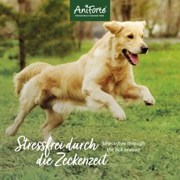 Aniforte Zecken Schild (bis 10kg) Für Kleine Hunde 60 Kapseln 5 Aniforte Zecken Schild (bis 10kg) Für Kleine Hunde 60 Kapseln – Bild 5