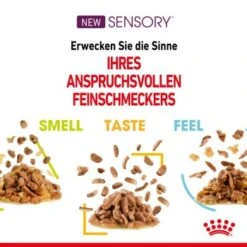 ROYAL CANIN SENSORY Smell In Gelee Für Wählerische Katzen 12x85g -Trixie Deutschland Verkaufs-Shop 4a632532d23d065e189b82401db5c561b6749e74 bbe7e159ee2cfcc0155771b211da953377ec5c40
