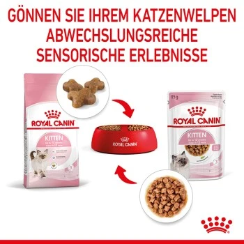 ROYAL CANIN Kitten 12x85g In Soße 4 ROYAL CANIN Kitten 12x85g In Soße – Bild 4