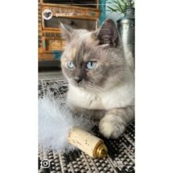 Kater Kasimir Deluxe Set Mit 9 Beliebten Katzenspielzeugen Aus Naturmaterial Und Handgemachtem CATDAD Armband -Trixie Deutschland Verkaufs-Shop 4d777484de5457a02028f595b53fdb1b69e309d7 1408151 de DE 911e17a5e45692f3789ac8bc9aee946048898d74SkrQo3