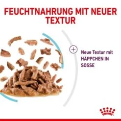ROYAL CANIN SENSORY Feel In Soße Für Wählerische Katzen 12x85g 9 ROYAL CANIN SENSORY Feel In Soße Für Wählerische Katzen 12x85g -Trixie Deutschland Verkaufs-Shop 4d93715bc5a9692f88cd6cacd114ce790b7d5c94 27a1bcd0d7577e59068b36e49f089111bfb1eb06
