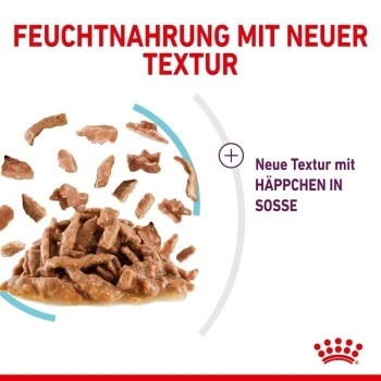 ROYAL CANIN SENSORY Feel In Soße Für Wählerische Katzen 12x85g 4 ROYAL CANIN SENSORY Feel In Soße Für Wählerische Katzen 12x85g – Bild 4