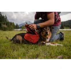 Ruffwear Front Range™ Hundetagesrucksack Rot XS 16 Ruffwear Front Range™ Hundetagesrucksack Rot XS -Trixie Deutschland Verkaufs-Shop 4e85c5fcf8221559a11a36a85cf18292f16c7ae6 1639836 de DE e32c1ef235eed898fdfb11ee92e223827867be67d4f5kE