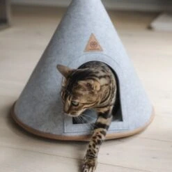 Canadian Cat Company Katzenzelt Cone -Trixie Deutschland Verkaufs-Shop 5109d27ef761061b6b743871ab0498da3478f504 1394210 de DE f112ffaf078c6f8bf03764511a0d90aab2c21021HdDAgd