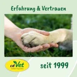 DentaVet Gel 35g -Trixie Deutschland Verkaufs-Shop 545e087e057912f1eb130f03a5533927e129f40b 1249039 de DE f215127866d604991b4efc218004018ddf4470952Q2KTf