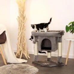 Lionto Kratzbaum 60 Cm Dunkelgrau 9 Lionto Kratzbaum 60 Cm Dunkelgrau -Trixie Deutschland Verkaufs-Shop 54d2a2b2f0f85b4c59d70d90b3af4b4a58719f22 1657014 de DE 61b72444bd03e0597d0ec1256f587f38f03d3f6dXYdqkl