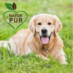 Fit-Crock Classic Lamm Maxi 5 Fit-Crock Classic Lamm Maxi -Trixie Deutschland Verkaufs-Shop 572aa89bc910e31893995e44aa05ef340fdfa24c 1687099 de DE f696ec27369198bd4394c88715b6b073e090c44aFcn83B