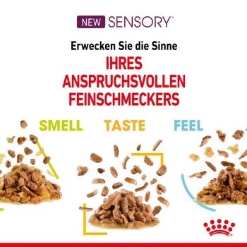 ROYAL CANIN SENSORY Feel In Soße Für Wählerische Katzen 12x85g 3 ROYAL CANIN SENSORY Feel In Soße Für Wählerische Katzen 12x85g – Bild 3