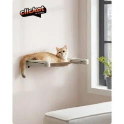 FEANDREA Clickat Katzenmöbel 3er Set, Für Die Wand -Trixie Deutschland Verkaufs-Shop 60f69f4a642f0d59e84f4714b442d728b55f724b 1681459 de DE a39910e1400039cebe0247b4991dedcb1a62d9ddWMEogu