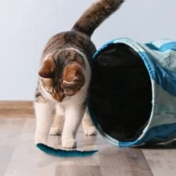 Kater Kasimir 3 Handgerollte Filzwürmchen Aus Schurwolle + 1 Mini-Flasche Katzenminze-Spray -Trixie Deutschland Verkaufs-Shop 628f7d1d4ec1f70990cd24d861db16d7b447278c 1409266 de DE e1034005335ef5de37662c8ab367f77b33e0f5830ItxtL