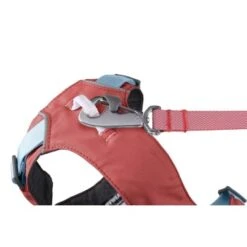 Ruffwear Flagline™ Geschirr Pink L-XL -Trixie Deutschland Verkaufs-Shop 6336745b38eb1dda3aa9b7ee2cb80b972fcc0b45 1444288 de DE e2428f2000ec8338e10a272ee848e3c44342d5c4R6HQ0p