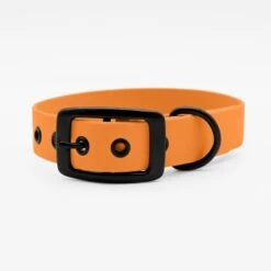 THE DOG IDEA Biothane Halsband Peach Schwarz S 7 THE DOG IDEA Biothane Halsband Peach Schwarz S -Trixie Deutschland Verkaufs-Shop 63a25a829c0ae8ac00d7fae9357dc6f599e1ece0 1679210 de DE 209fe0574a98d9ae7be9198096227e22ed500368ghK2fN