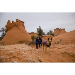 Ruffwear Overcoat Fuse™ Hundejacke Violett XXS -Trixie Deutschland Verkaufs-Shop 63f0f6c2ce316cb05ad8327a81fc0693c061f7c9 1639761 de DE c1f94f51e318dc9402504b3760a5b7d8c990fb78cnSRrn