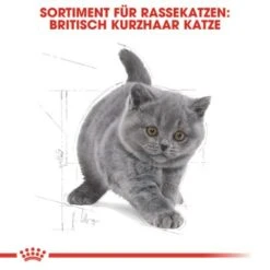 ROYAL CANIN British Shorthair Kitten 2 Kg 13 ROYAL CANIN British Shorthair Kitten 2 Kg -Trixie Deutschland Verkaufs-Shop 64125f190883e96661f93d5b5db0d481b8b12589 263c8c6b1a98e1881835868f52cc2ea3e9412ec3