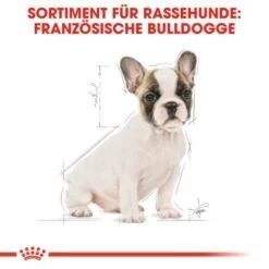 ROYAL CANIN Französische Bulldogge Puppy 10 Kg -Trixie Deutschland Verkaufs-Shop 6533c1a96ca75c136f89ff9cc048ac3b0cef85da 285b59c4eb743c45432d7efc45498582cabbc6e9