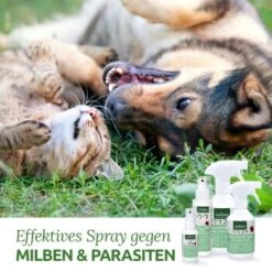 Aniforte Milben-STOP Spray Für Hunde Und Katzen 100 G 6 Aniforte Milben-STOP Spray Für Hunde Und Katzen 100 G -Trixie Deutschland Verkaufs-Shop 65c573e701babc35d0222949c6f8e5e51e98ed10 1656142 de DE a537cb98349378307bdd6f629cf67a682ee52db6lSupmg