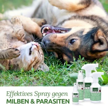 Aniforte Milben-STOP Spray Für Hunde Und Katzen 100 G 3 Aniforte Milben-STOP Spray Für Hunde Und Katzen 100 G – Bild 3