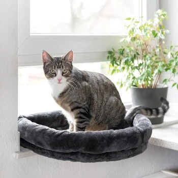 Canadian Cat Company Fensterliege Loveseat 1 Canadian Cat Company Fensterliege Loveseat