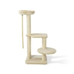 MORE FOR Kratzbaum Gaspar