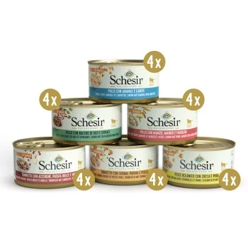 Schesir Multipack Salads Poke 24x85g 1 Schesir Multipack Salads Poke 24x85g