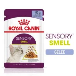 Neu eingetroffen 17 ROYAL CANIN SENSORY Smell In Gelee Für Wählerische Katzen 12x85g