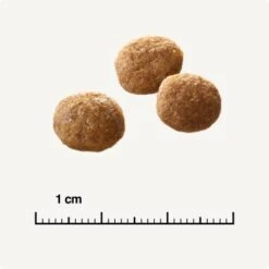 SELECT GOLD Senior +12 Geflügel Mit Reis 3 Kg 10 SELECT GOLD Senior +12 Geflügel Mit Reis 3 Kg -Trixie Deutschland Verkaufs-Shop 6db53d99e99530132bf34d8482d69f423780c004 1081823016 de DE 6