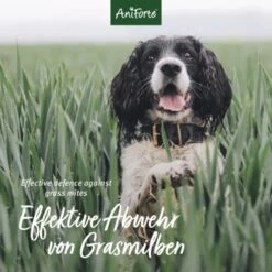 Aniforte Grasmilben-EX Spray Für Hunde 250ml -Trixie Deutschland Verkaufs-Shop 6e1e18b7b0a1d1f59bce3c680af6b1a3c8894f80 1655909 de DE e3905507b4127feea49671bfd5a4aadf453616663qtQ4B