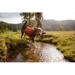 Ruffwear Front Range™ Hundetagesrucksack Rot XS 18 Ruffwear Front Range™ Hundetagesrucksack Rot XS -Trixie Deutschland Verkaufs-Shop 6fcda691161ff080a6f6075669f57b606bb5abbe 1639836 de DE 827ca11f058fc24bc21d1c4bb6cec8d9576cc1835E84NB