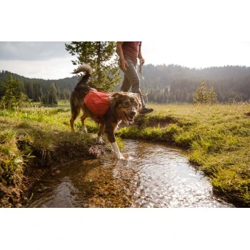 Ruffwear Front Range™ Hundetagesrucksack Rot XS 9 Ruffwear Front Range™ Hundetagesrucksack Rot XS – Bild 9