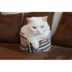 Canadian Cat Company Katzenschiff MAJA -Trixie Deutschland Verkaufs-Shop 766deb875332e5f5e0863d1a2d85001bb4ef9b90 1412668 de DE bd0dc038d80f4f0d2f7a8d881a21a125e897f0d3Dfo1wn