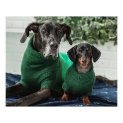 GF Pet Trail Pullover Forest Grün XXXS -Trixie Deutschland Verkaufs-Shop 779f298087cae5c721d39d0e409ff830d9702e07 51764b41ec1e519efc4e7ae3561161e25d618dc0