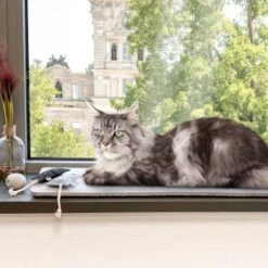 Canadian Cat Company Filzmatte Für Fensterbank Hellgrau S -Trixie Deutschland Verkaufs-Shop 7885f06a61233bc404e6a3aa7f8cd882fde8d497 1498575 de DE 613cf8659fcca6edb1e226239a406f420c510b04Tro7m3
