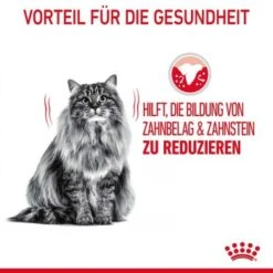 ROYAL CANIN Dental Care 3,5 Kg 15 ROYAL CANIN Dental Care 3,5 Kg -Trixie Deutschland Verkaufs-Shop 799e728673ffad2d7a70f49cd2891c4f467ab976 1003121009 de DE rc 5