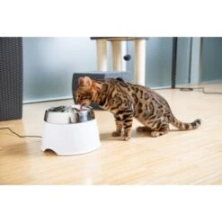 AniOne Edelstahl-Trinkbrunnen Trevi Ohne Ersatzfilter -Trixie Deutschland Verkaufs-Shop 7a066af048695bbfaeca0a855e5984fc3bf99d03 689fcf415d486ac05c07f2a4868b1d087d7a9ece