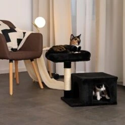 Lionto Kratzbaum 50 Cm Schwarz 8 Lionto Kratzbaum 50 Cm Schwarz -Trixie Deutschland Verkaufs-Shop 7a4fdb048438d7541c9e09a10efabe693bc4320b 1657017 de DE 254b7c9c0cfdc7971bd88e8e452f13909c8f2c09Qbu3kJ