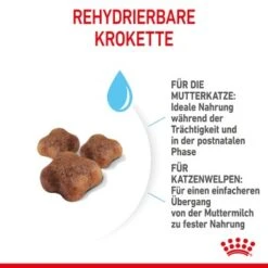 ROYAL CANIN Mother & Babycat 2 Kg -Trixie Deutschland Verkaufs-Shop 7de9161ec8af5d8e5fb59d6589cba97c3ecae1bf 3182550707329 5