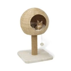 AniOne Kratzbaum Taro 9 AniOne Kratzbaum Taro -Trixie Deutschland Verkaufs-Shop 8015d7b4c0183292da7990dff25b7ff1c97f7ca6 4661a3fe35a0d785da64c78b80181fd4eec21218