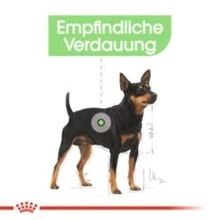 ROYAL CANIN Digestive Care Adult Pouch 12x85g -Trixie Deutschland Verkaufs-Shop 8049b54ea14c9c8911e364a4e17fcf52b376b3a9 83e202518bfeb423c1d801639e8f4d0052103e42