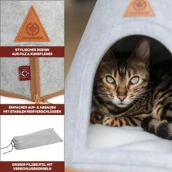 Canadian Cat Company Katzenzelt Cone -Trixie Deutschland Verkaufs-Shop 809a3c44a93f6813e3f594a392c884994f2cb8be 1394210 de DE c6578ffbb5eb34e2b0106dd76bcafeaede82606a8Hawov