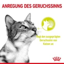 ROYAL CANIN SENSORY Smell In Gelee Für Wählerische Katzen 12x85g -Trixie Deutschland Verkaufs-Shop 8189732b9ae1a398fb4fb109d95a4bf54f9ea43e e98d42f060ba951a9dc658034746788da77dfcfd