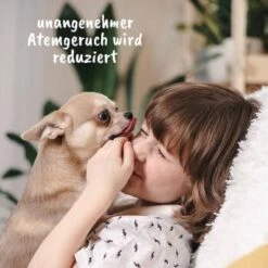 DentaVet Gel 35g -Trixie Deutschland Verkaufs-Shop 83bc062088bf497c563d73617ec06ea55fab5303 1249039 de DE d1fc59c1732a26ecfdb5efbb70158acd6ac06117jOeQCb