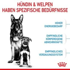 ROYAL CANIN MAXI Starter 15kg -Trixie Deutschland Verkaufs-Shop 84509061cc88bbba93af28332fe80ae82ca37ef9 1044296 de DE royalcaninwb2