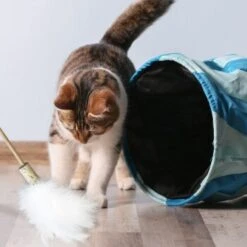 Kater Kasimir Premium Paket Mit 7 Beliebten Katzenspielzeugen Aus Naturmaterial -Trixie Deutschland Verkaufs-Shop 84f221d79ef76f1b4f2f0037d329c11c6fce3a33 1408152 de DE 294269527f07b1898ca7562c986e956043828d3cA8xBpO