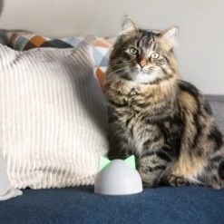 SureFlap Sure Petcare Hub -Trixie Deutschland Verkaufs-Shop 852b1bc3a8108075f76c20971c6ccd4d4ae1aeee 64f4b5749fc73b0bad1049a6b67d5e53fa50ba07