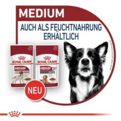 ROYAL CANIN MEDIUM Adult 10x140g -Trixie Deutschland Verkaufs-Shop 89d972ad7b4e2530c6050fa10b41681c85a66fa8 9003579008362 8