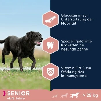 EUKANUBA Caring Senior Large Breed Chicken 15kg 2 EUKANUBA Caring Senior Large Breed Chicken 15kg – Bild 2