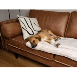 TrendPet Harmony Gefütterte Liegedecke Creme XS -Trixie Deutschland Verkaufs-Shop 8a90b0a9111c9f8c3102709bd3f96183b3562c59 1390614 de DE 76a51ca8d6aad29feaec164f24c0d781c9ed8ce7YdJOW0