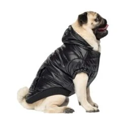 Canada Pooch Glänzende Pufferweste XXS 7 Canada Pooch Glänzende Pufferweste XXS -Trixie Deutschland Verkaufs-Shop 8ec11177ec9f86d200ff22bc3e0c234ecff91e7e dfb5b396c833a1ace7625fc5796632bee13eda68