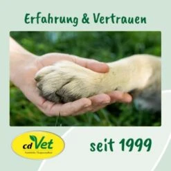 CdVet Ohrenpflege 20ml -Trixie Deutschland Verkaufs-Shop 91ea9619f0a6a9470d4078716478f9946127aa43 1033310 de DE 9de31ae422c889f65e12a1085ee6ba81b11de6a3JFtiHC